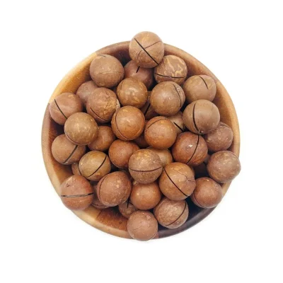 عکس فندق ماکادمیا