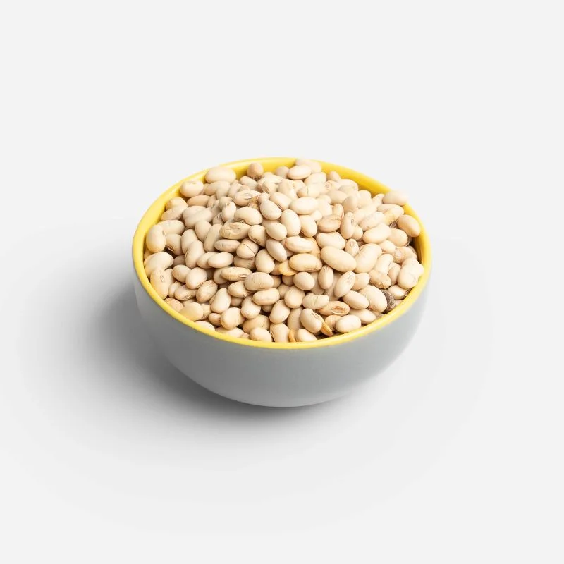 عکس سویا بو داده عکس سویا بو داده