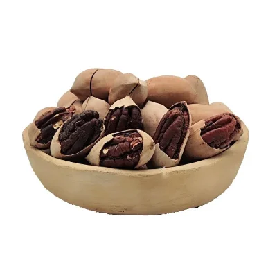 عکس گردو پکان آمریکایی